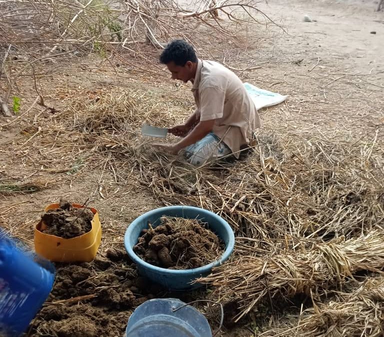 قصص نجاح قادمة من ارض ساكن وعيص مديرية خنفر أبين