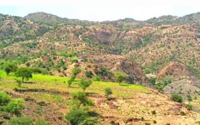 قصف مدفعي متبادل بين القوات الجنوبية والحوثيين بالمسيمير
