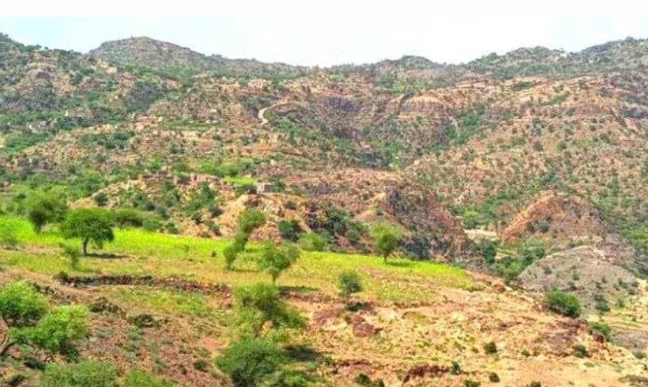 قصف مدفعي متبادل بين القوات الجنوبية والحوثيين بالمسيمير