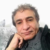 الحوثي والفرصة الأخيرة من المناورة