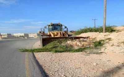 حملة لإزالة الأشجار المعيقة للحركة المرورية بعاصمة المهرة