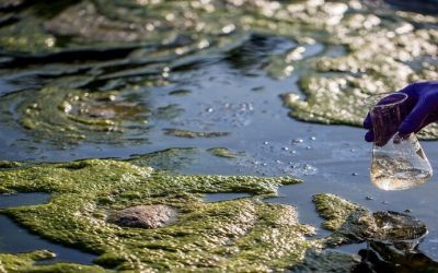 روسيا.. تطوير نظام قادر على كشف مركبات عضوية خطيرة في البيئات المائية