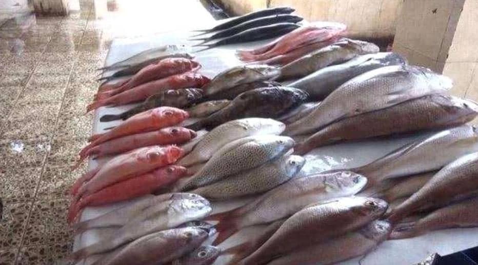 أسعار الأسماك اليوم فى العاصمة عدن