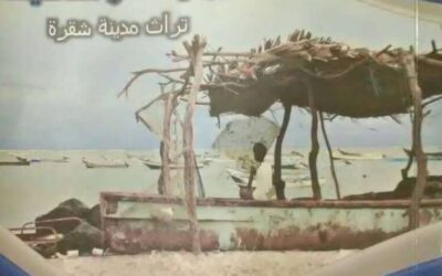 مراهقة الشيوبه