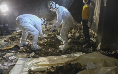 العثور على مقبرة جماعية جديدة بريف دمشق