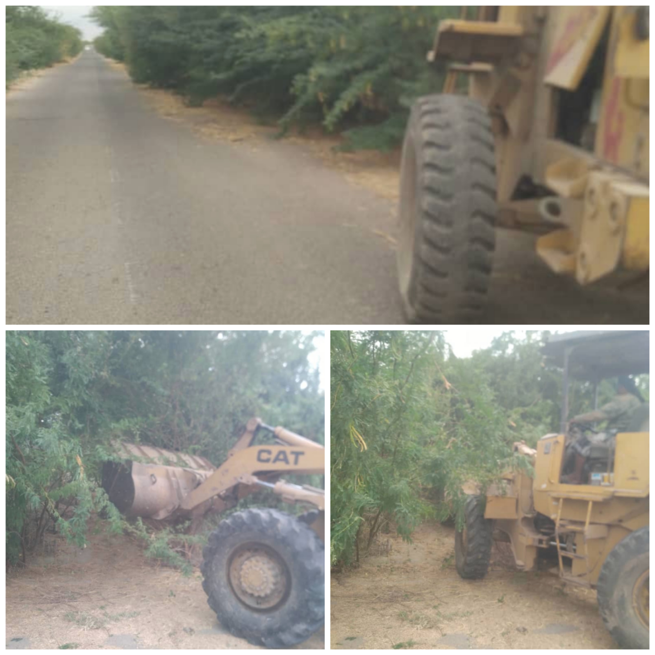 بتوجيهات “اليوسفي” … صندوق النظافة بمديرية خنفر ينفذ حملة لإزالة الأشجار بخط المخزن عبرعثمان الدرجاج.