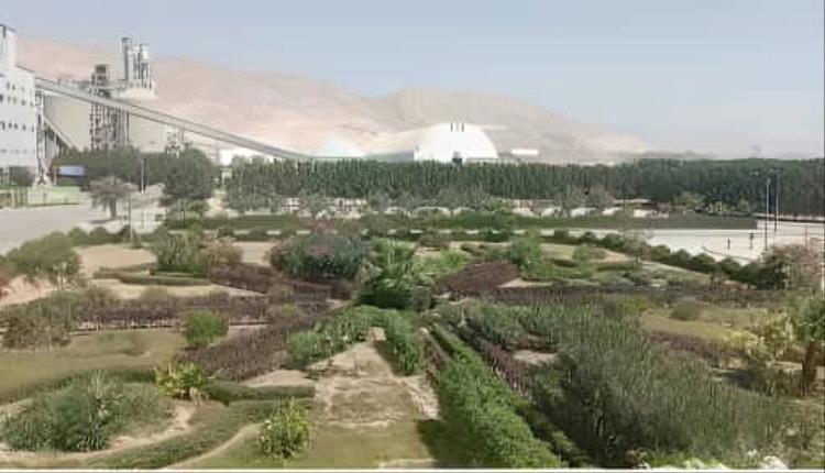 مشروع زراعة الأشجار المثمرة للفواكة تحقق نجاح في حرم مصنع اسمنت باتيس