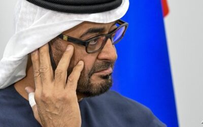 بعد ساعات من تصريحات ترامب عن غزة.. أول بيان رسمي من الإمارات