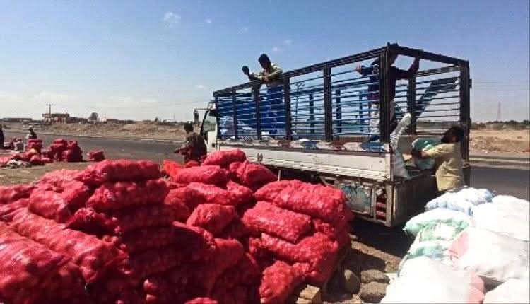 غياب التخطيط الزراعي يتسبب في خسائر فادحة لمزارعي لحج