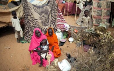 الهجرة الدولية”: 6514 أسرة سودانية نزحت من القطينة بالنيل الأبيض