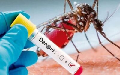 الصحة العالمية: 1456 حالة إصابة بحمى الضنك في عدد من المحافظات