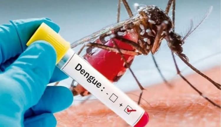 الصحة العالمية: 1456 حالة إصابة بحمى الضنك في عدد من المحافظات