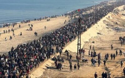 ترحيل ميلون و800 ألف من غزة.. تفاصيل جديدة حول خطة ترامب
