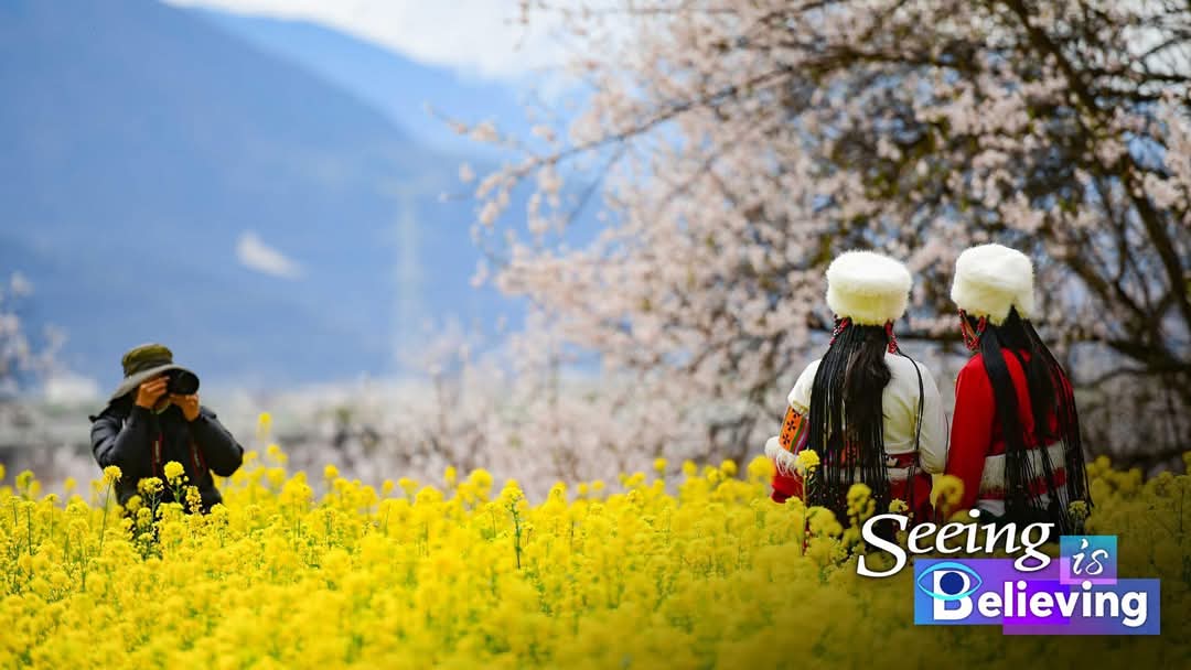 المناظر الربيعية الخلابة تعزز تنمية السياحة في شيتسانغ بجنوب غربي الصين