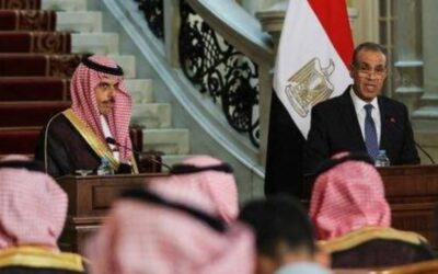 وزيرا خارجية السعودية ومصر يناقشان تطورات غزة