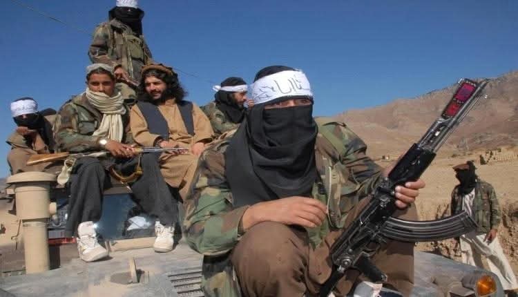 باكستان تدعو الأمم المتحدة لمنع وصول الأسلحة إلى الجماعات الإرهابية