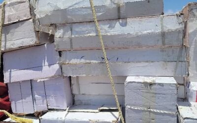 شبوة: إتلاف 3 أطنان من الأدوية المنتهية الصلاحية بجهود مشتركة من الجهات المختصة