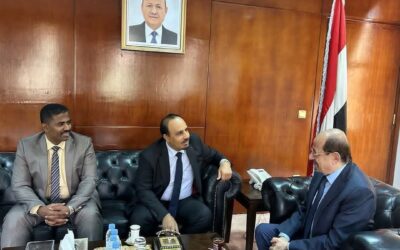 محافظ حضرموت يبحث مع وزير الخارجية تعزيز الدعم التنموي وخدمات المغتربين
