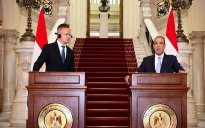 وزير الخارجية المصري: نرفض تهجير الفلسطينيين من أرضهم