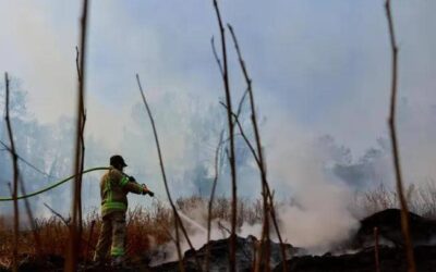 شدة الرياح تؤججها.. حرائق إسرائيل تستعر رغم محاولات إخمادها