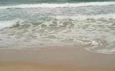 غرق 4 شبان من أبناء كريتر في ساحل جولدمور.. وانتشال 3 منهم