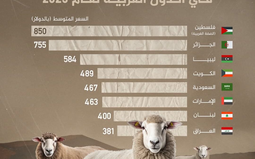 فلسطين في الصدارة بمتوسط حوالي 850 دولارا.. تعرف إلى أغلى الدول العربية من حيث أسعار الأضاحي لعام 2025 حج1446هـ  إنفوغراف