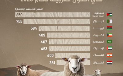 فلسطين في الصدارة بمتوسط حوالي 850 دولارا.. تعرف إلى أغلى الدول العربية من حيث أسعار الأضاحي لعام 2025 حج1446هـ  إنفوغراف