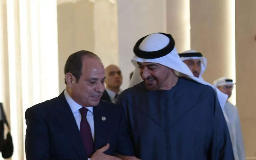 السيسي و بن_زايد يؤكدان أهمية الوقف الفوري لإطلاق النار في #غزة وتبادل الأسرى