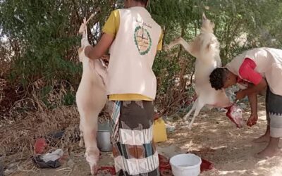 منتدى أحور يدشن توزيع لحوم الأضاحي للأسر الفقيرة والمحتاجة ضمن مشروع “وافعلوا الخير”