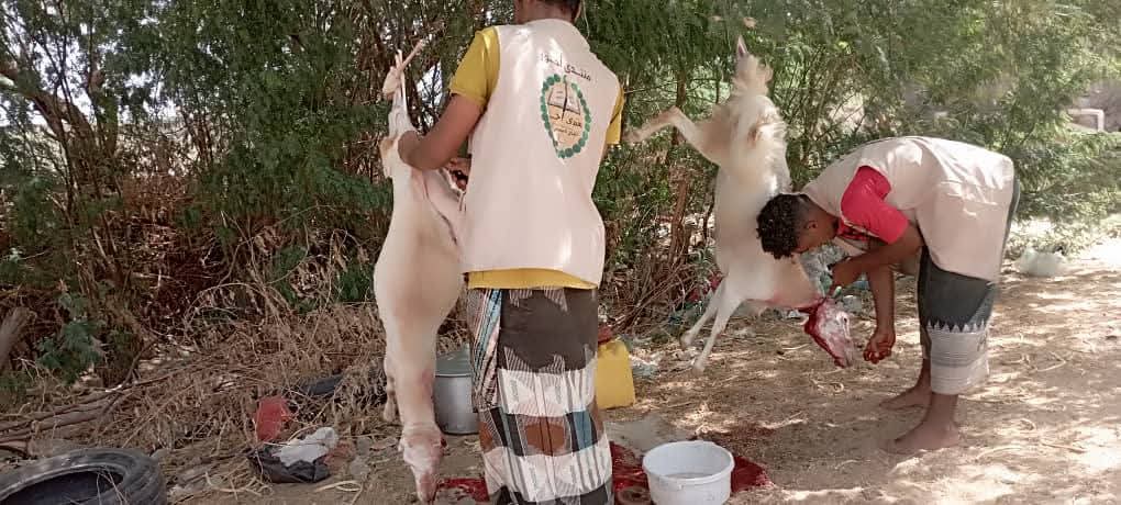 منتدى أحور يدشن توزيع لحوم الأضاحي للأسر الفقيرة والمحتاجة ضمن مشروع “وافعلوا الخير”