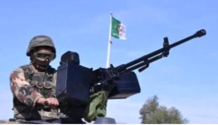 الجيش الجزائرى يضبط كمية ضخمة من المخدرات فى شرق البلاد