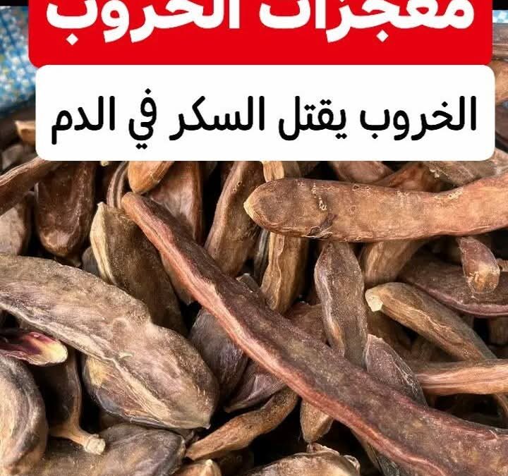 #فوائد •الخروب• ( القرنوط )لمرضى السكري
