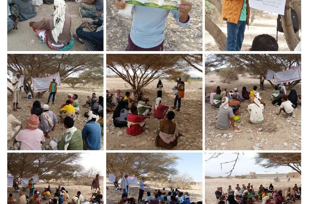 المدرسة الحقلية: جامعة الفلاح المفتوحة تحت ظل الشجرة