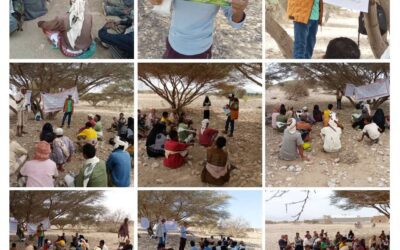 المدرسة الحقلية: جامعة الفلاح المفتوحة تحت ظل الشجرة