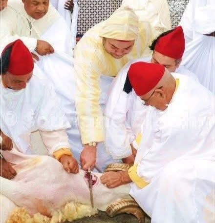 الملك محمد السادس ملك المغرب يقرر إلغاء الأضحية هذا العام