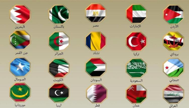 وزراء خارجية 20 دولة عربية وإسلامية يدينون الهجمات الإسرائيلية على إيران