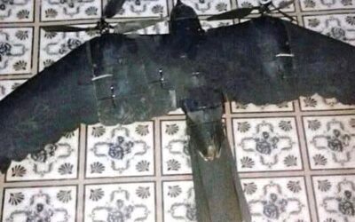 درونات روسية تحاكي أشكال_الطيور لإرباك الجنود الأوكرانيين