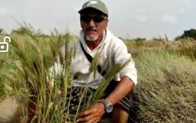 لا شكر على واجب..  حتى لو كان مسؤولًا