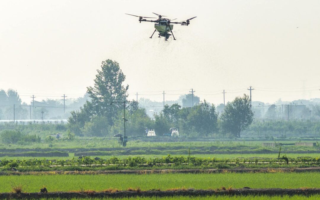 طائرات بدون طيار لحماية النباتات تسمد الأرز بمقاطعة آنهوي الصينية