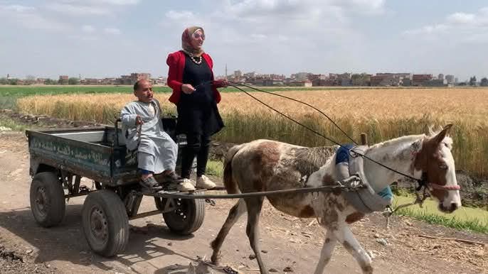 كل شيء إلا الحبحب وحكاية طريقة جدا