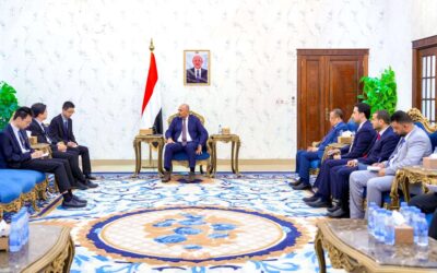الرئيس الزُبيدي يؤكد حاجة بلادنا إلى الخبرات الصينية لإعادة تأهيل قطاع الكهرباء