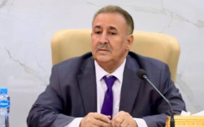 الربيزي: تصدع مجلس القيادة يكشف زيف الشراكة وقرارات الرئيس الزُبيدي أعادت التوازن
