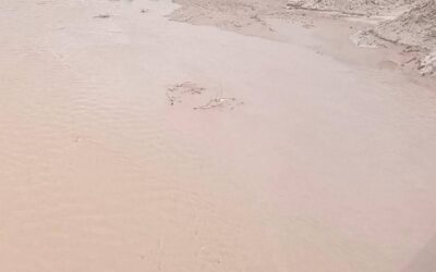 غرق خمس نساء من أسرة واحدة في قرية المحصامة بمديرية أحور