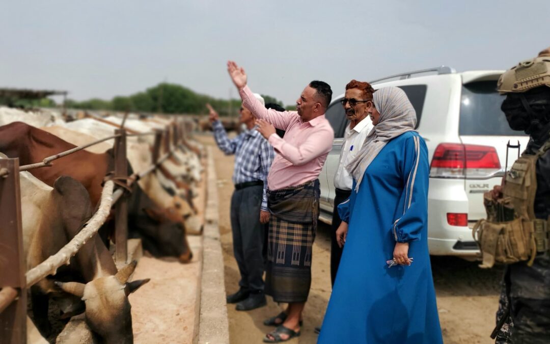 من الغذاء الفاسد إلى الأمن الغذائي: خطوة رائدة في عدن لتحويل الدقيق التالف إلى أعلاف حيوانية