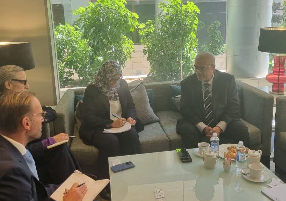 وزير التخطيط والتعاون الدولي يبحث مع مسؤول أممي الأوضاع الاقتصادية