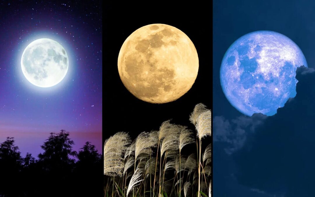 ظواهر فلكية نادرة.. 3 أقمار عملاقة تزين السماء في هذه المواعيد