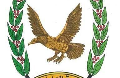 وزارة_الداخلية: 29 وفاة بحوادث سير في مناطق سيطرة الحكومة خلال النصف الأول من أكتوبر