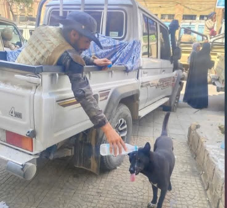 لفتة انسانية  لطيفة.. مرافق وزير الدفاع يسقي كلباً في أحد شوارع تعز