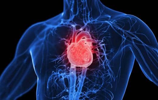 خمس دقائق من النشاط يوميًا قد تعزز صحة القلب والرئتين