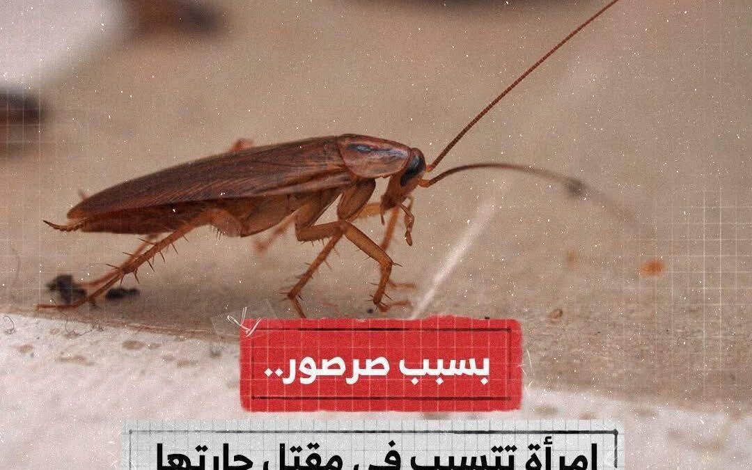 امرأة حاولت  قتل صرصور بولاعة أحرقت مبنى تجاري مكون من 32 وحدة سكنية وقتلت جارتها و8 مصابين والصرصور هرب